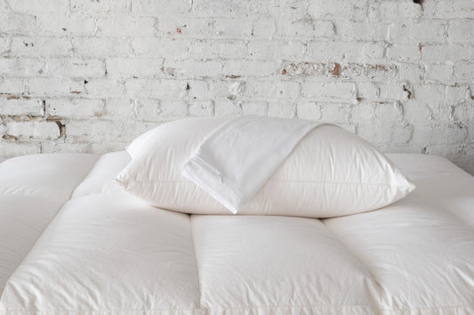 Allergy Pillow Protector by St. Genève