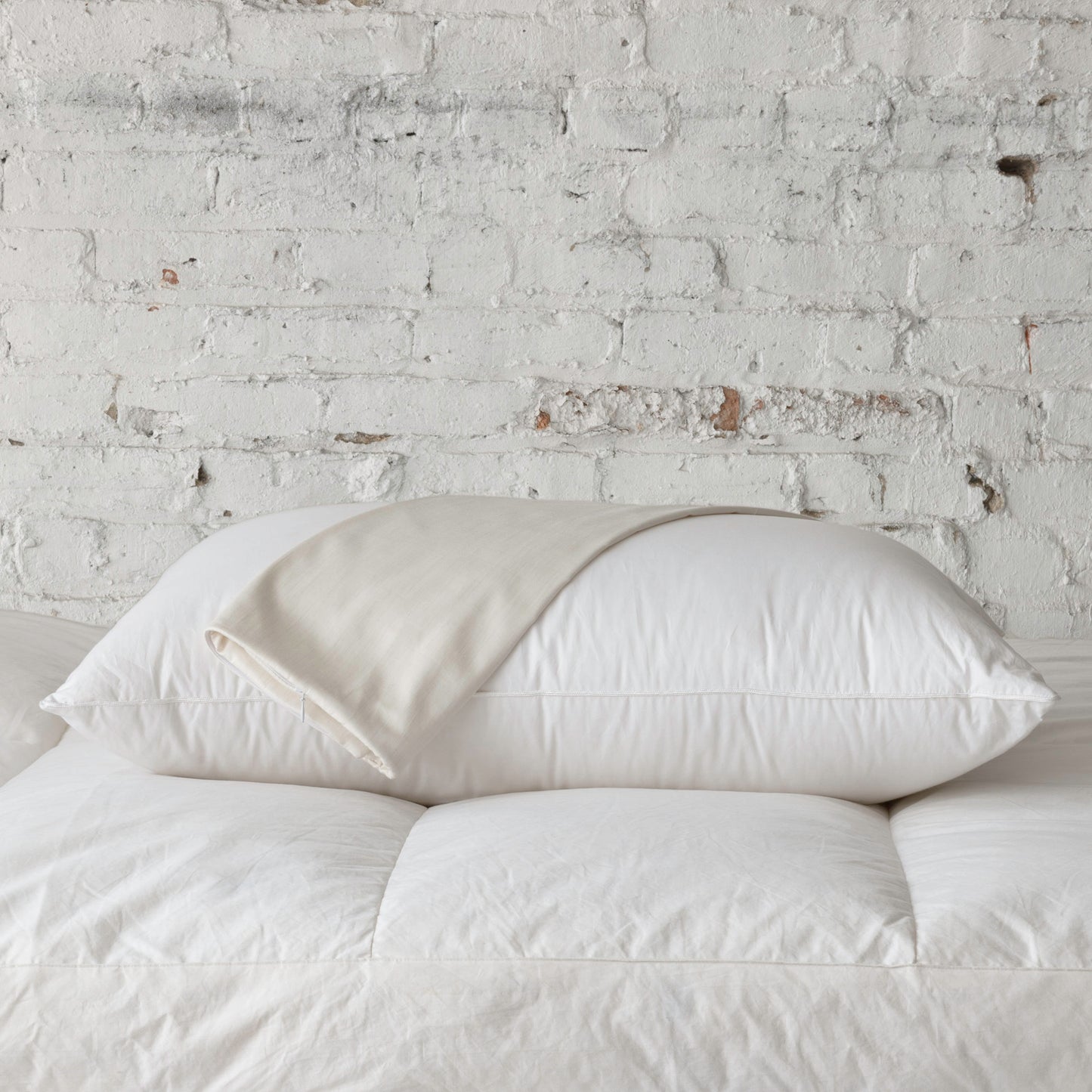 Ion Pillow Protector by St. Genève