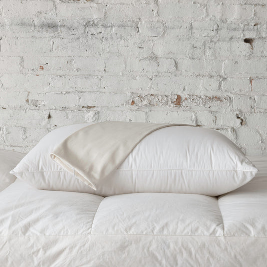 Ion Pillow Protector by St. Genève